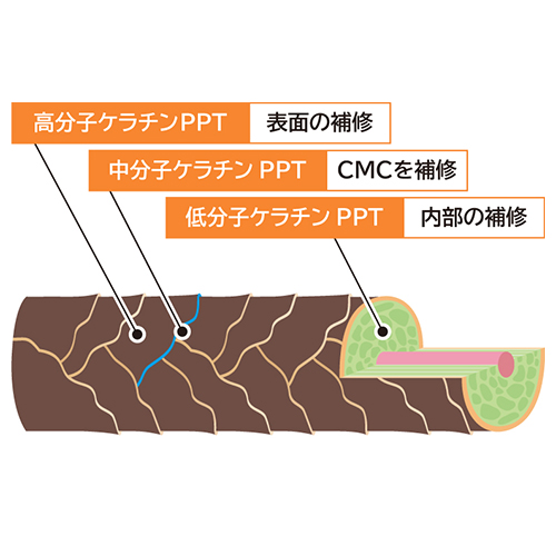 ゾイック　カシミヤタッチ　トリートメント　１０００ｍｌ