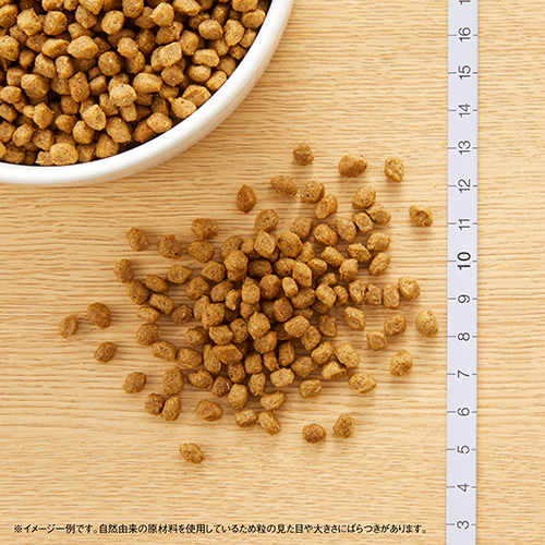 ニュートロナチュラルチョイス　チキン＆玄米　超小型犬用　エイジングケア　２ｋｇ
