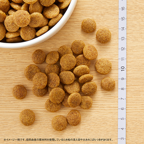 ニュートロナチュラルチョイス　チキン＆玄米　中型大型　成犬用　３ｋｇ