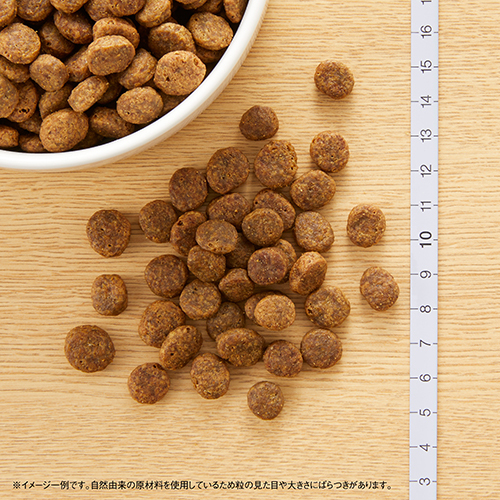 ニュートロナチュラルチョイス　フィッシュ＆ポテト入り　全犬種用　成犬用　６ｋｇ