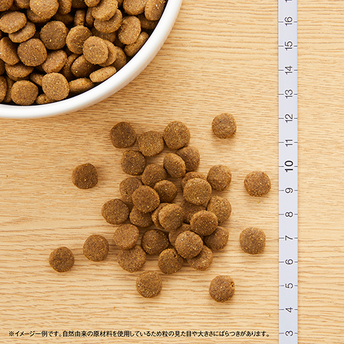 ニュートロナチュラルチョイス　食にこだわる猫用　アダルトチキン　２ｋｇ