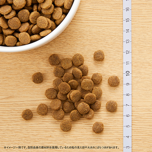 ニュートロナチュラルチョイス　食にこだわる猫用　アダルトチキン　２ｋｇ