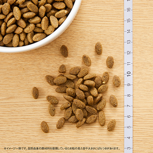ニュートロナチュラルチョイス　室内猫用　アダルトサーモン　５００ｇ
