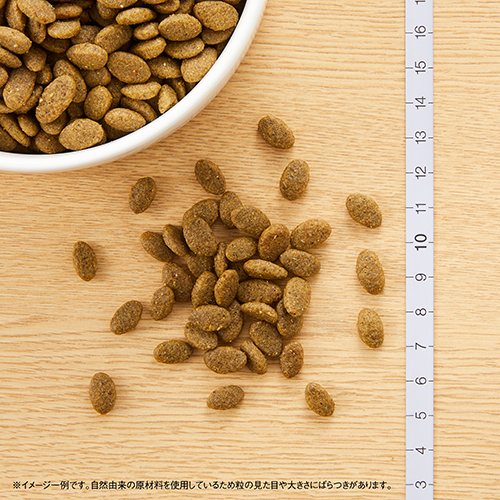 ニュートロナチュラルチョイス　穀物フリー猫用　アダルトサーモン　２ｋｇ