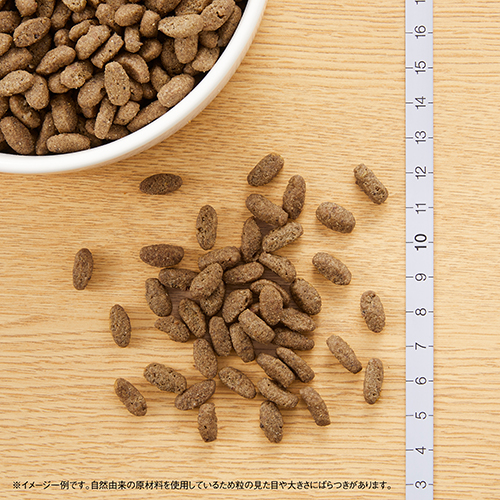 ニュートロナチュラルチョイス　室内猫用　アダルトチキン　２ｋｇ