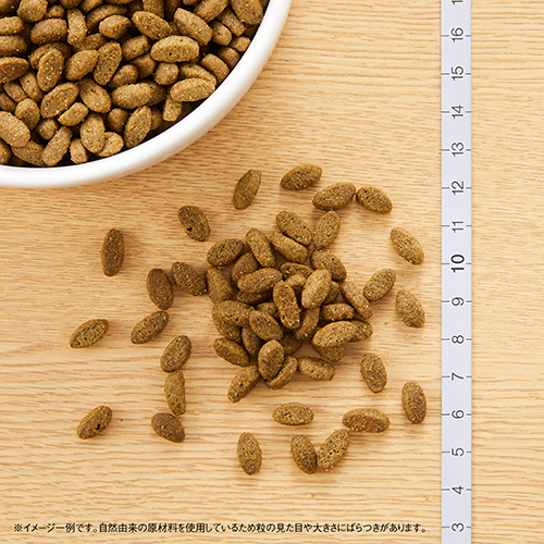 ニュートロナチュラルチョイス　室内猫用　シニアチキン　５００ｇ
