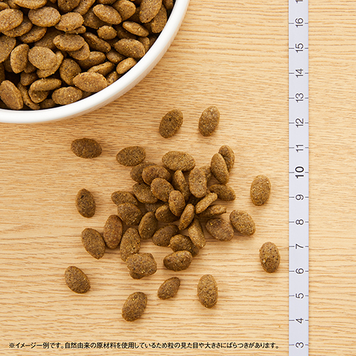 ニュートロナチュラルチョイス　穀物フリー猫用　アダルトダック　２ｋｇ