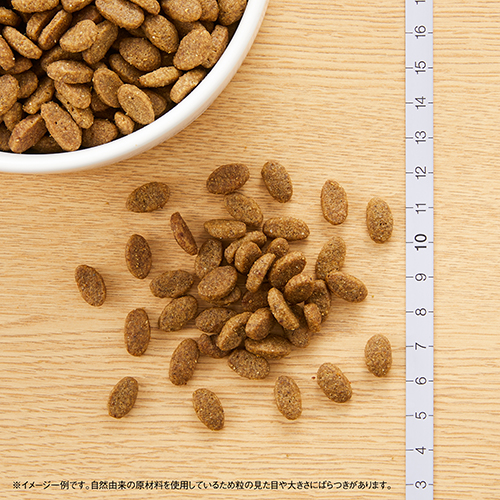 ニュートロナチュラルチョイス　室内猫用　アダルトターキー　２ｋｇ
