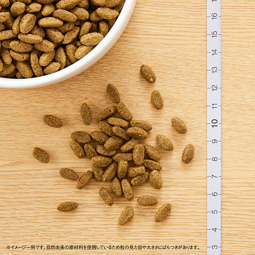 ニュートロナチュラルチョイス　避妊去勢猫用　アダルト　白身魚　５００ｇ