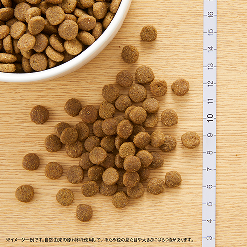 ニュートロ　キャット　ワイルド　レシピ　アダルト　白身魚　成猫用　４００ｇ