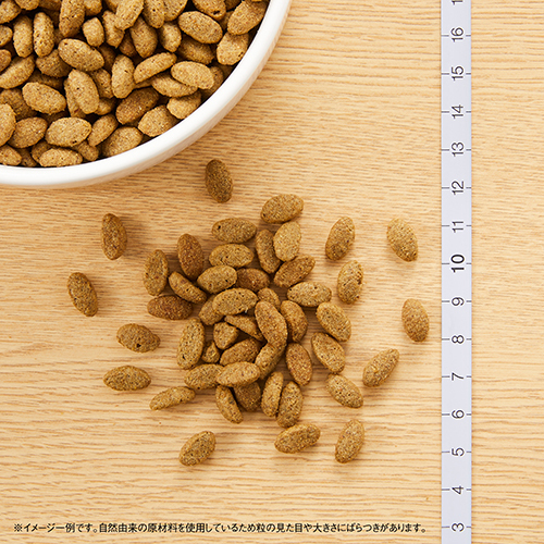 ニュートロナチュラルチョイス　減量用猫用　アダルトチキン　５００ｇ