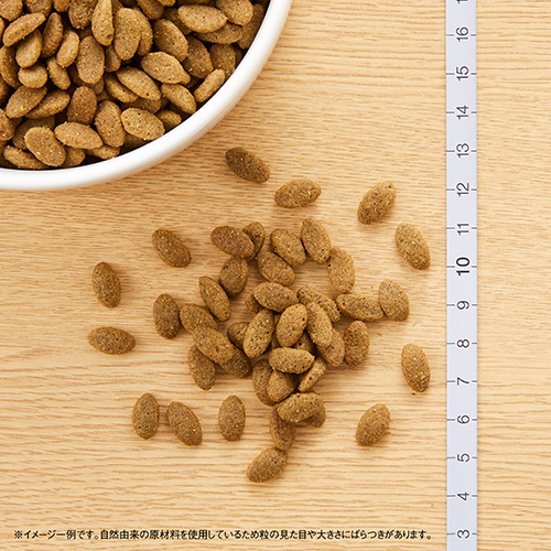 ニュートロナチュラルチョイス　毛玉トータルケア猫用　アダルトチキン　５００ｇ