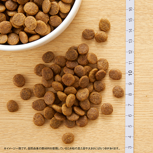 ニュートロ　ワイルドレシピ　超小型犬〜小型犬用　成犬用　チキン　４ｋｇ