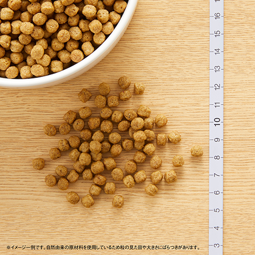 ニュートロナチュラルチョイス　ラム＆玄米　超小型犬〜小型犬用　エイジングケア　１ｋｇ