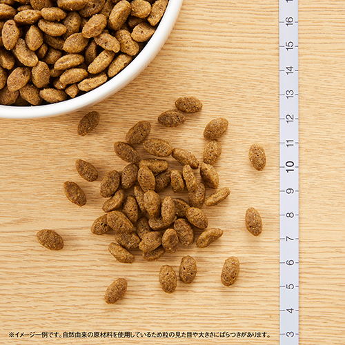ニュートロナチュラルチョイス　穀物フリー猫用　アダルトチキン　５００ｇ
