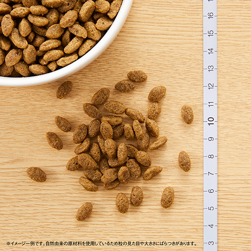 ニュートロナチュラルチョイス　穀物フリー猫用　アダルトチキン　５００ｇ