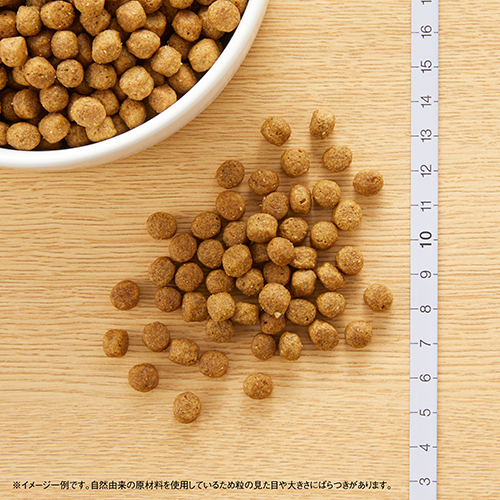 ニュートロナチュラルチョイス　ラム＆玄米　超小型犬〜小型犬用　成犬用　６ｋｇ