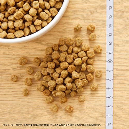 ニュートロナチュラルチョイス　チキン＆玄米　減量用超小型犬〜小型犬用　成犬用　３ｋｇ