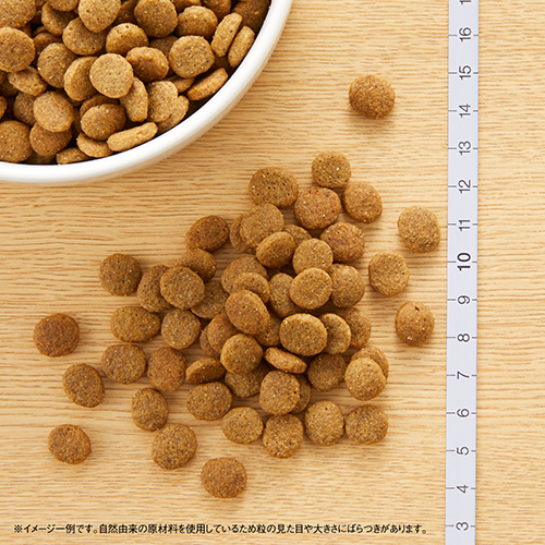 ニュートロナチュラルチョイス　ラム＆玄米　子犬用全犬種用　１ｋｇ