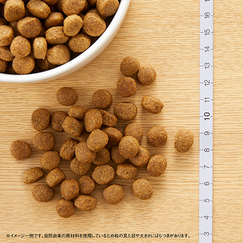 ニュートロナチュラルチョイス　ラム＆玄米　中型犬〜大型犬用　成犬用　２ｋｇ