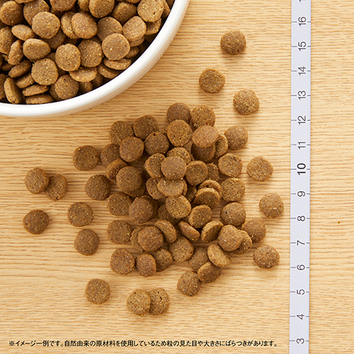 ニュートロ　キャット　ワイルド　レシピ　エイジングケア　チキン　シニア猫用　２ｋｇ