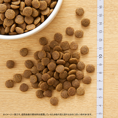 ニュートロ　キャット　ワイルド　レシピ　アダルト　サーモン　成猫用　１ｋｇ