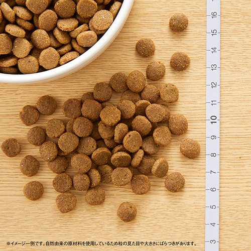 ニュートロ　キャット　ワイルド　レシピ　アダルト　チキン　成猫用　４００ｇ