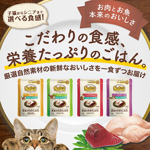 ニュートロ　キャット　デイリー　ディッシュ　シニア猫用　チキン＆ツナ　クリーミーなペーストタイプ　パウチ