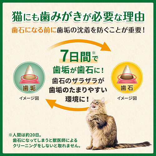 グリニーズ　猫用　香味サーモン味　６０ｇ