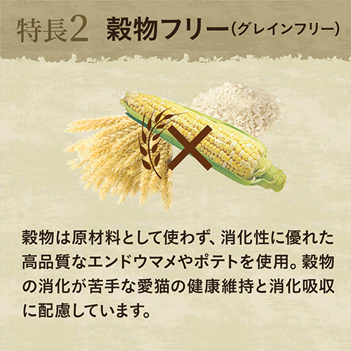 ニュートロ　キャット　ワイルド　レシピ　アダルト　チキン　成猫用　２ｋｇ