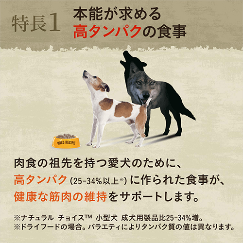 ニュートロ　ワイルドレシピ　超小型犬〜小型犬用　成犬用　ターキー　８００ｇ
