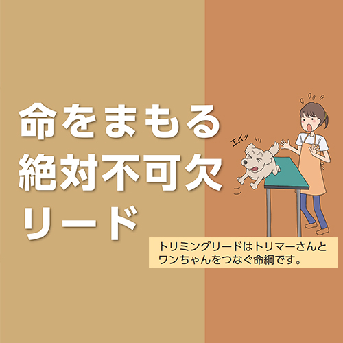 トリミングリード　ベージュ