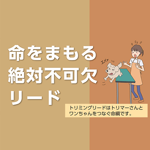 トリミングリード　ベージュ