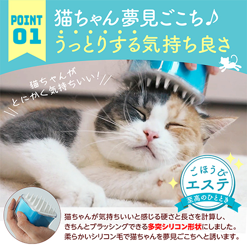 アマゾン掲載不可商品　キャンディ　ブラシ　シーソルトブルー