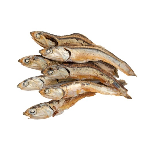ムッシュバトン　イワシ　フィッシュジャーキー　４０ｇ