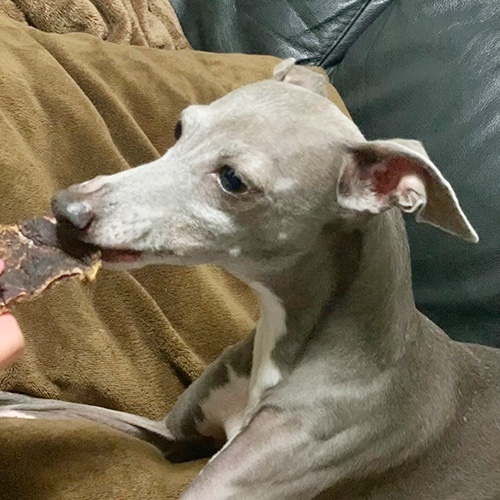牛肉すらいすＭ