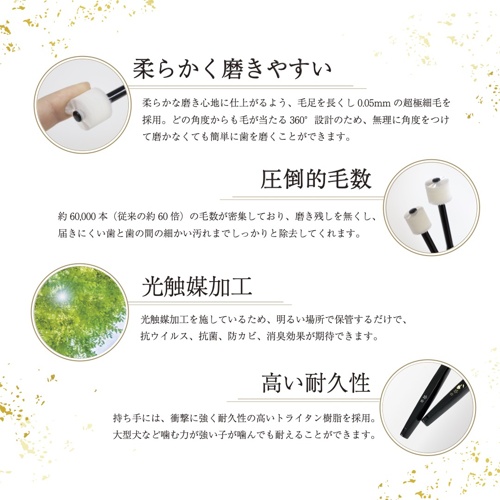 綿子　大