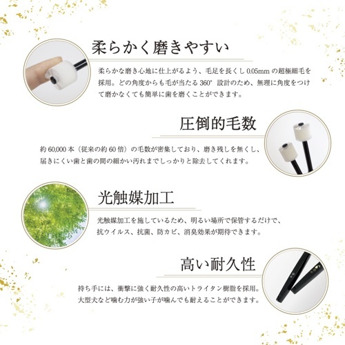 綿子　大