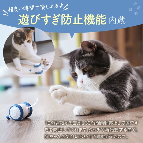 アマゾン掲載不可商品　ウィキッド・マウス（Ａｐｒｉｃｏｔ）