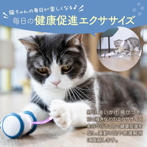 アマゾン掲載不可商品　ウィキッド・マウス（Ａｐｒｉｃｏｔ）
