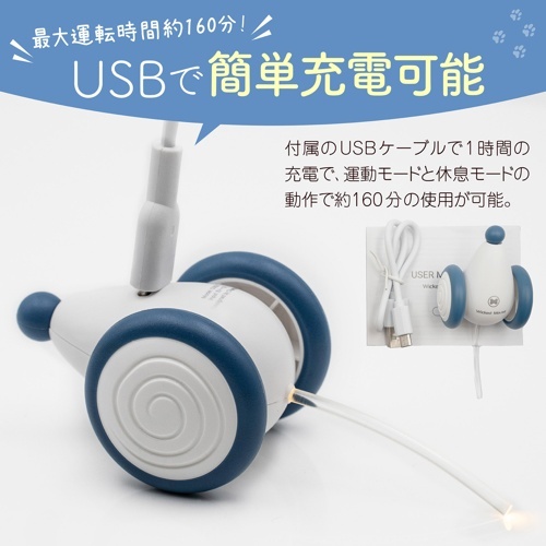 アマゾン掲載不可商品　ウィキッド・マウス（Ａｐｒｉｃｏｔ）