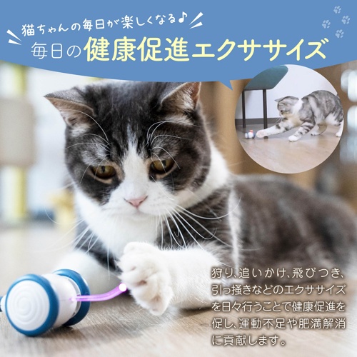 アマゾン掲載不可商品　ウィキッド・マウス（Ｊａｙ　Ｂｌｕｅ）