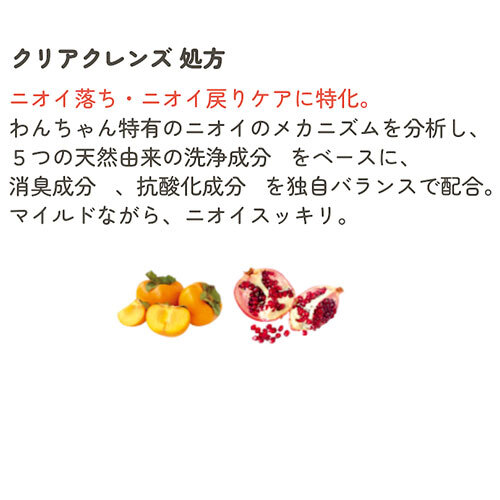 ハホニコピッタリクリアクレンズシャンプー２００ｍＬ