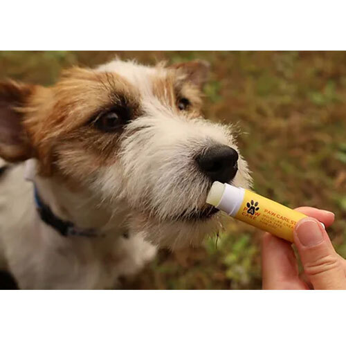 保湿スティック犬用