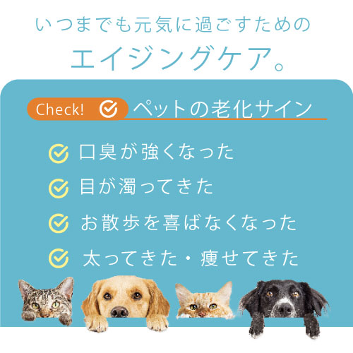 ９９９　ｆｏｒ　ＰＥＴ　ＮＭＮ　６０粒