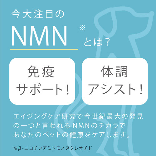 ９９９　ｆｏｒ　ＰＥＴ　ＮＭＮ　６０粒