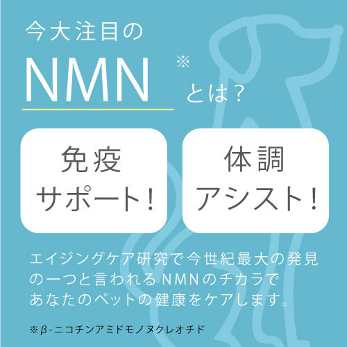 ９９９　ｆｏｒ　ＰＥＴ　ＮＭＮ　６０粒
