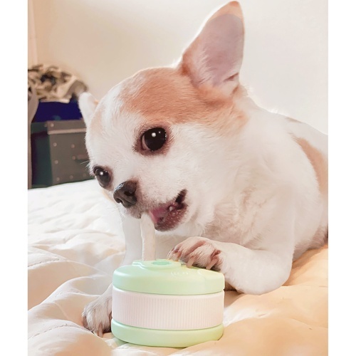 楽しく歯みがきガムホルダー