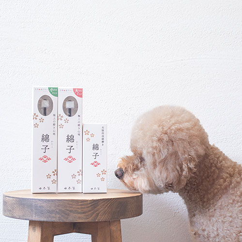 WEB販売不可商品　綿子　泡歯磨き