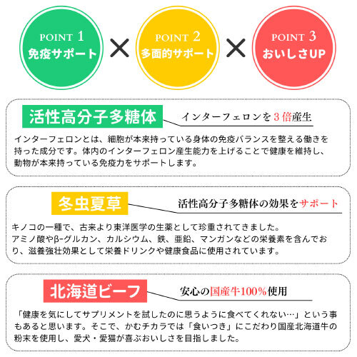 かむチカラ インターナチュラル